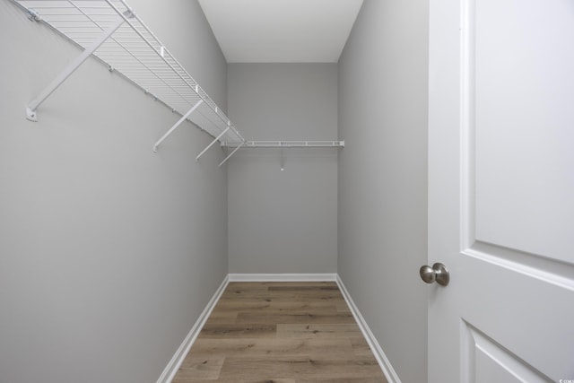 spacious closet with light wood-style flooring