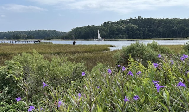 4396 Baldwin Ave Unit 141, Little River, SC 29566 - water view with a forest
