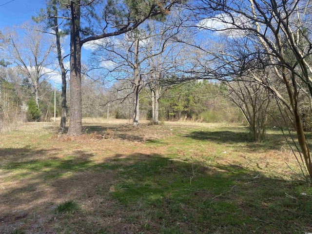 81 Freedom Rd, Andrews SC, 29510 land for sale