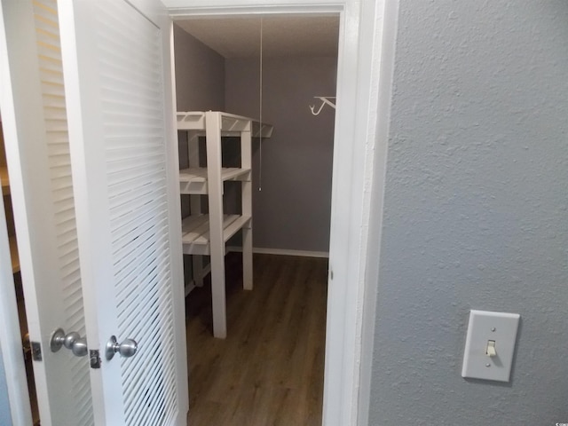 spacious closet featuring wood finished floors