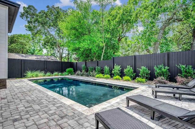 view of swimming pool featuring a fenced backyard, a fenced in pool, and a patio