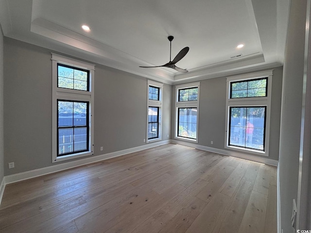 spare room featuring light wood-type flooring, a raised ceiling, a healthy amount of sunlight, and baseboards