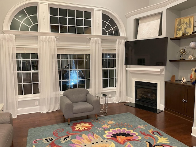 living area featuring a glass covered fireplace and wood finished floors