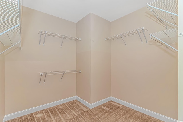 spacious closet with light colored carpet