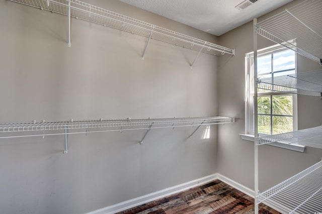 walk in closet featuring visible vents and wood finished floors