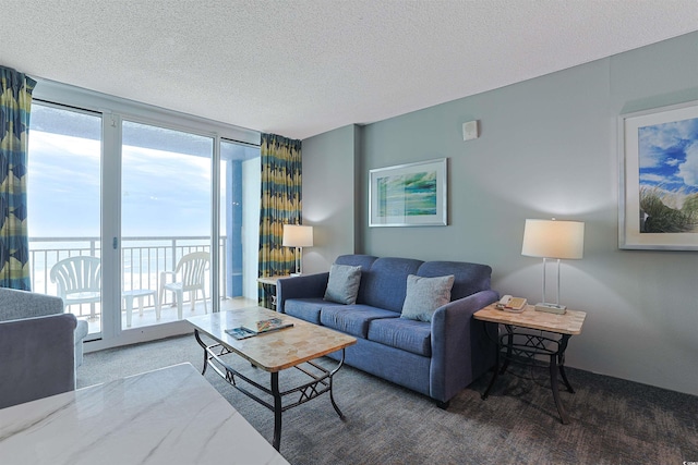 living area with carpet and a textured ceiling