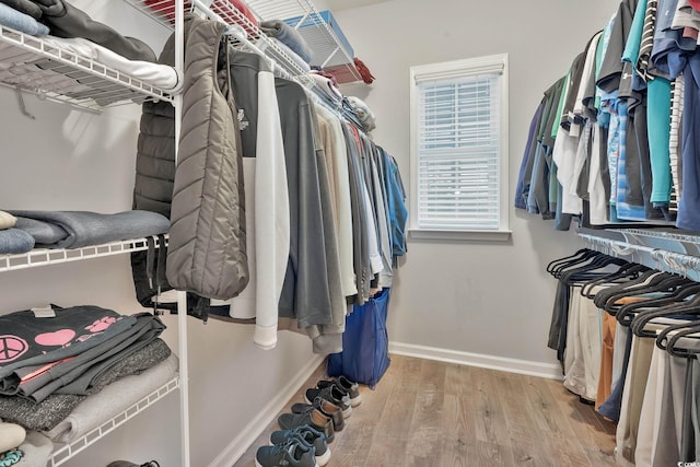 walk in closet featuring wood finished floors