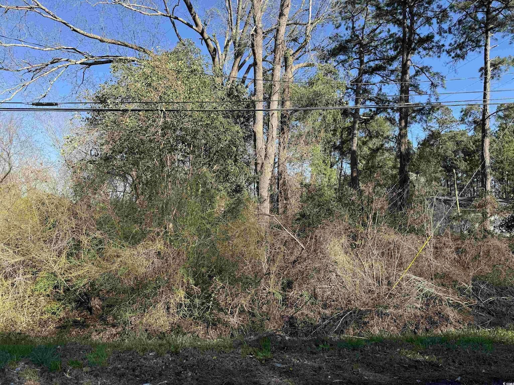 TBD N Farr Ave, Andrews, SC 29510