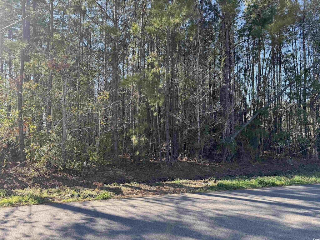 TBD N Farr Ave, Andrews, SC 29510
