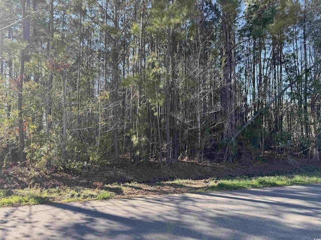 TBD N Farr Ave, Andrews, SC 29510