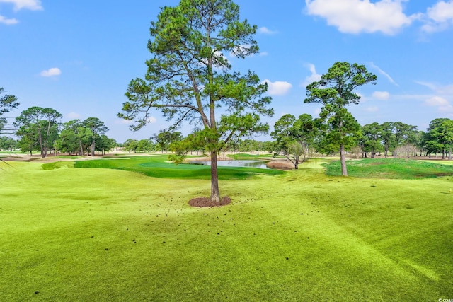 view of property's community featuring a lawn and view of golf course