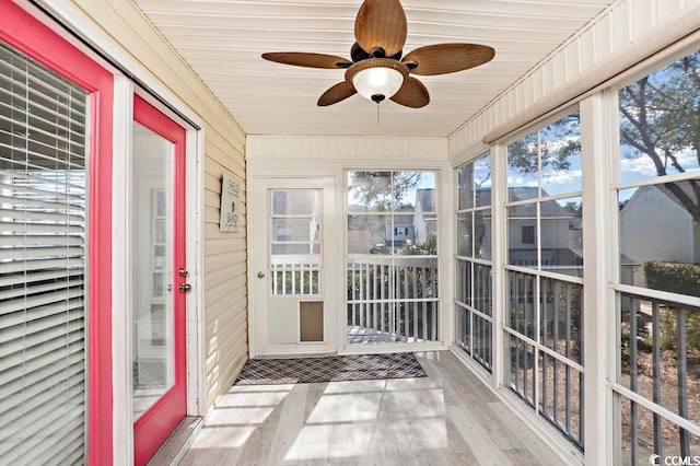 unfurnished sunroom featuring ceiling fan