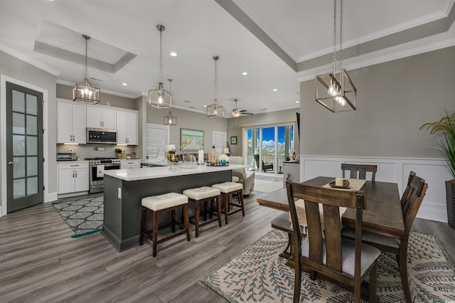 interior space with a raised ceiling, a wainscoted wall, a kitchen island with sink, stainless steel appliances, and white cabinetry