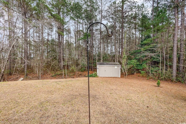 view of yard featuring a storage shed and an outdoor structure