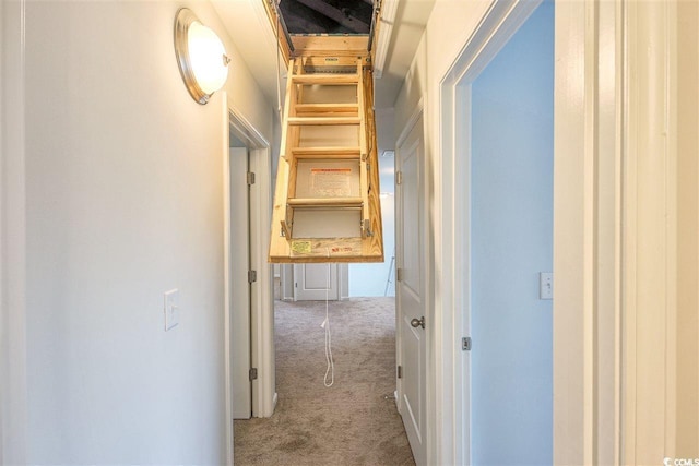 corridor featuring light carpet