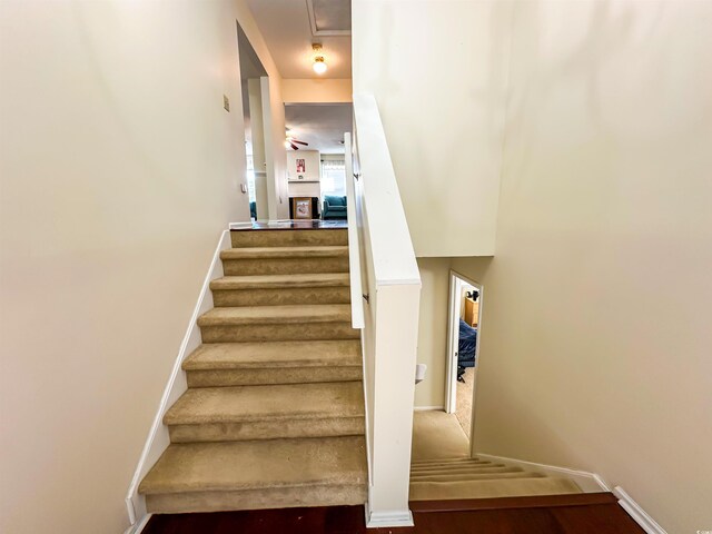 488 Greenview Dr Unit 1, Johnsonville, SC 29555 - photo 12