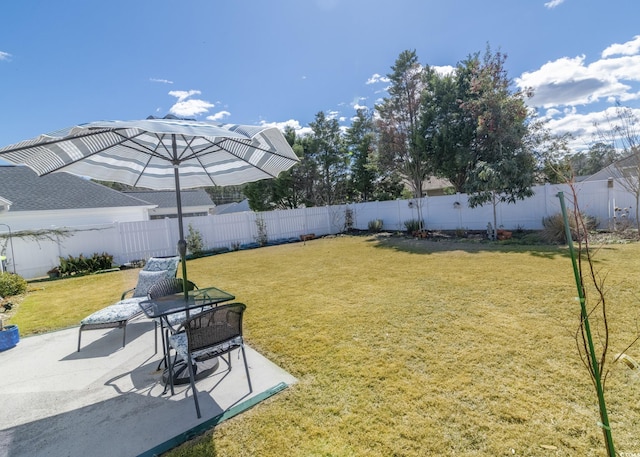 view of yard with a patio area and a fenced backyard