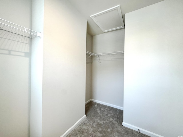 walk in closet featuring carpet and attic access