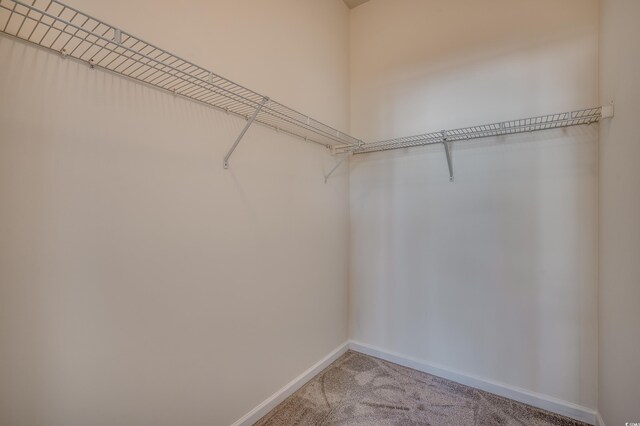 spacious closet with light colored carpet