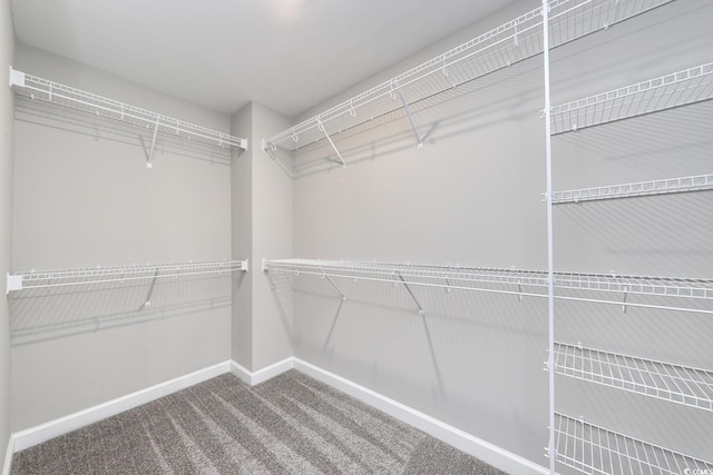 4035 Bucolic Loop, Myrtle Beach, SC 29588 - photo 25
