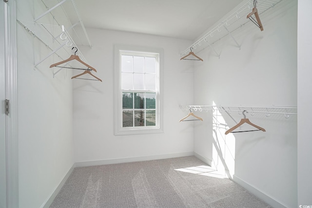 4035 Bucolic Loop, Myrtle Beach, SC 29588 - walk in closet with carpet