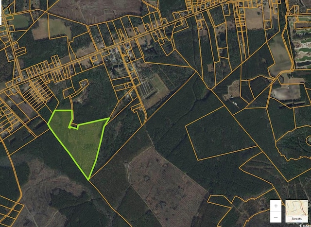 TBD Highway 905, Conway, SC 29526