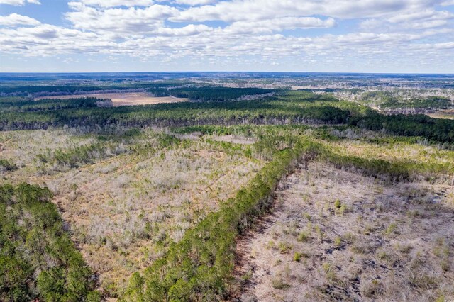 TBD Highway 905, Conway, SC 29526