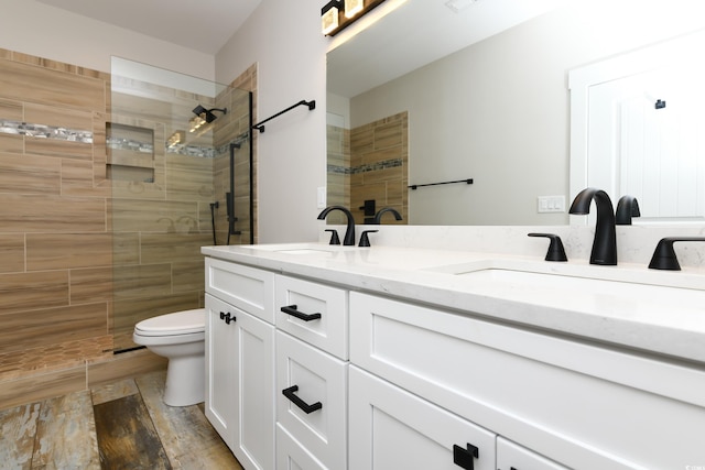 full bathroom featuring double vanity, walk in shower, and a sink