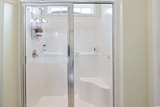 full bath featuring a shower stall