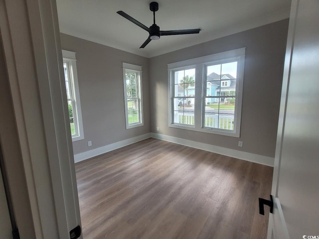 5023 Middleton View Dr, Myrtle Beach, SC 29579 - photo 23