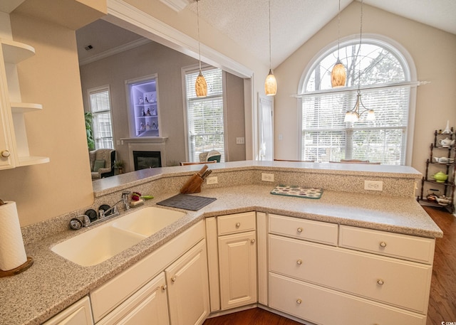 kitchen featuring dark wood-style flooring, a fireplace, a sink, and a healthy amount of sunlight