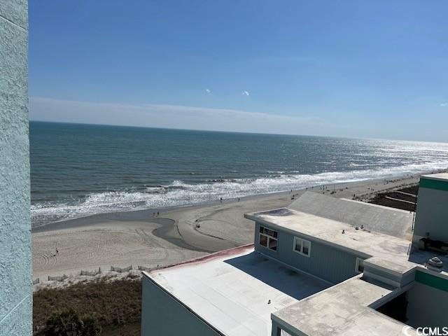 water view with a view of the beach