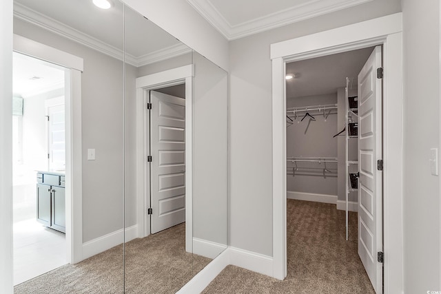 4008 Bucolic Loop, Myrtle Beach, SC 29588 - spacious closet with carpet flooring