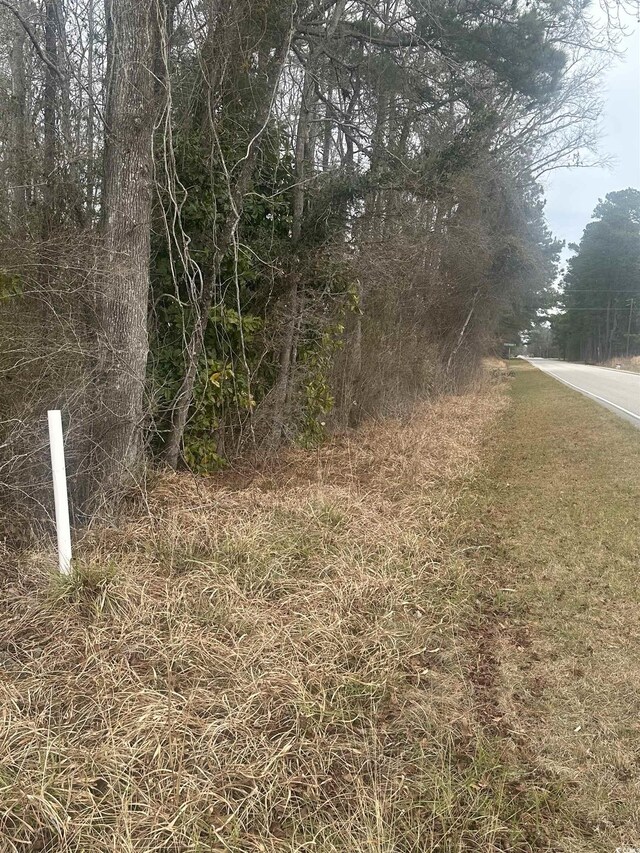 Listing photo 3 for TBD Pleasant View Church Rd, Nichols SC 29581