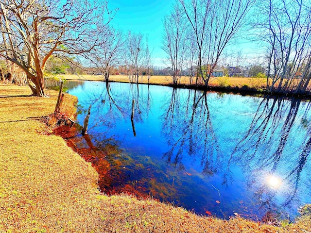 view of water feature