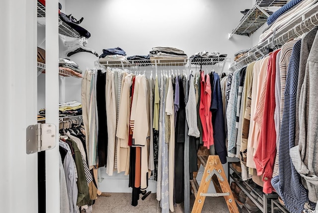 walk in closet with carpet floors