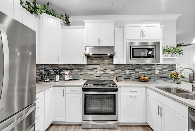 kitchen featuring a sink, tasteful backsplash, under cabinet range hood, and stainless steel appliances