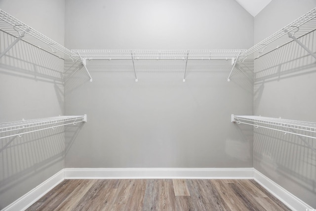 108 Silver Peak Dr, Conway, SC 29526 - spacious closet with wood finished floors
