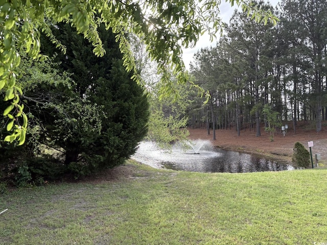 view of water feature