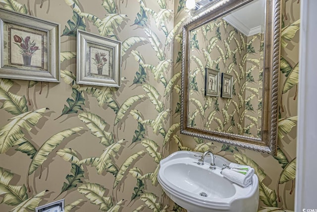 113B 13th Ave N, Surfside Beach, SC 29575 - bathroom featuring a sink, ornamental molding, and wallpapered walls