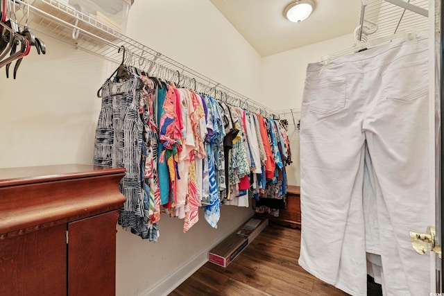 spacious closet featuring wood finished floors