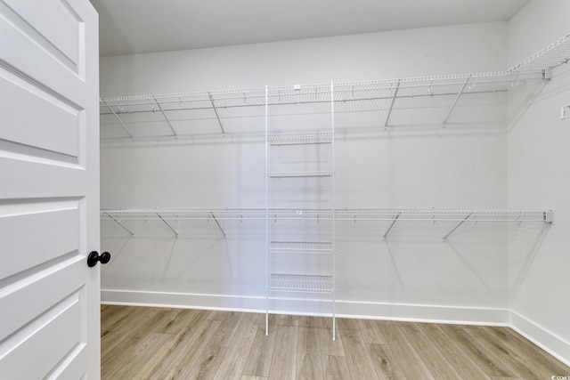 4028 Bucolic Loop, Myrtle Beach, SC 29588 - walk in closet with wood finished floors