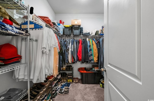 spacious closet featuring carpet flooring