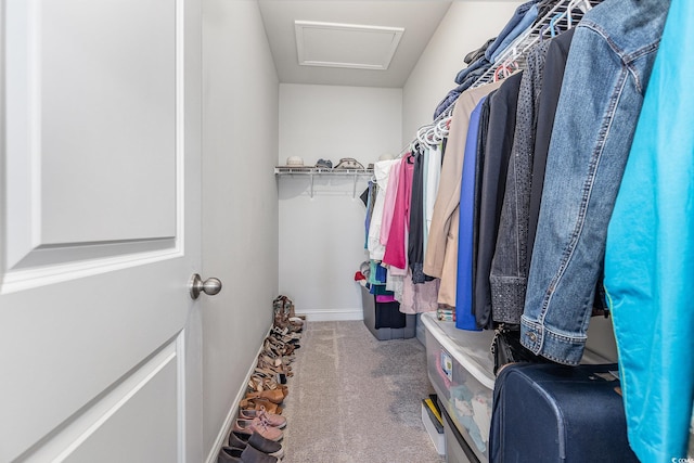 10141 Hamilton Branch Loop, Myrtle Beach, SC 29579 - walk in closet with carpet flooring and attic access