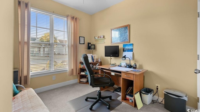 office space with baseboards and carpet flooring