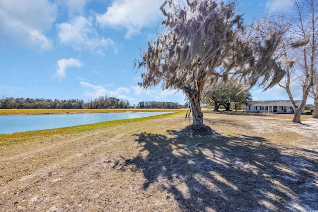 view of yard with a water view