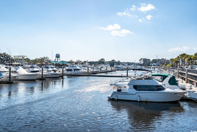 dock area with a water view