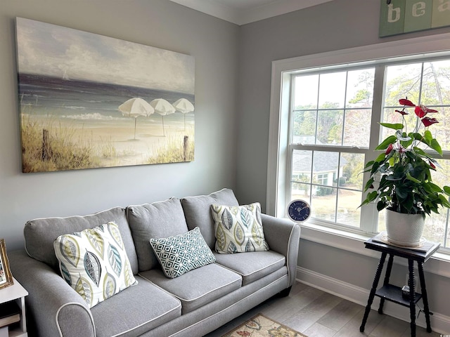 living area featuring baseboards and wood finished floors