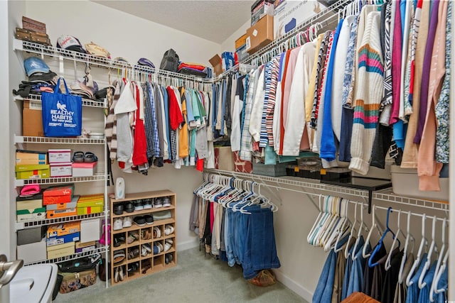 walk in closet with carpet