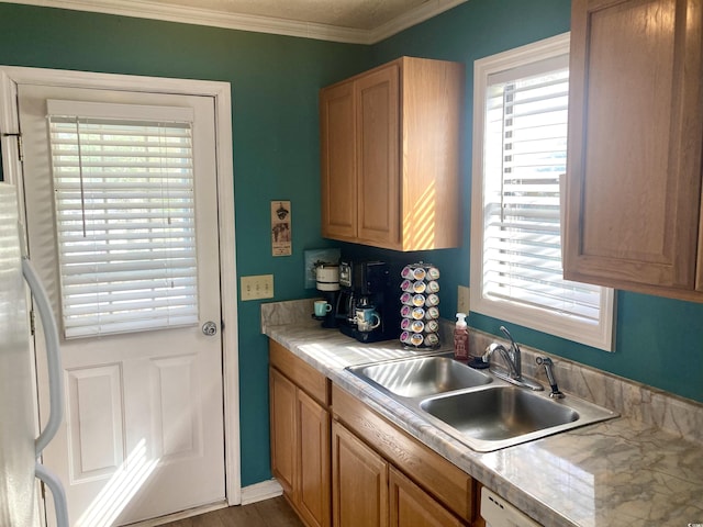 kitchen featuring light countertops, ornamental molding, freestanding refrigerator, and a sink